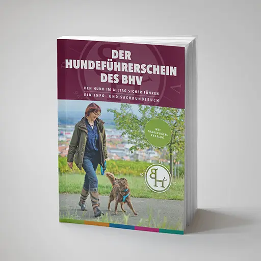 Fortschritts-Kurs - Hundeführerschein 2