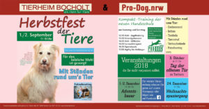 Aktuelles 46 herbstfest 1