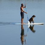 Stand-Up-Paddling mit Hund am Bocholter Aasee