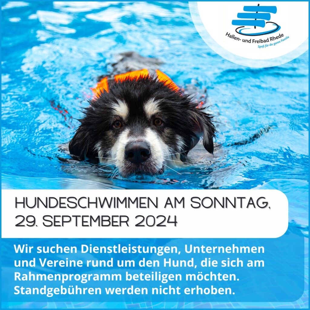 Hundeschwimmen im Freibad Rhede 6 436225352 923013729744612 6925068338071170487 n