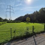 Hundeplatz mieten - exklusiv