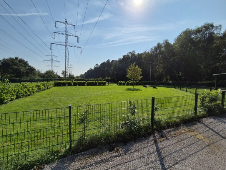 Hundeplatz mieten 17 20240905 153039