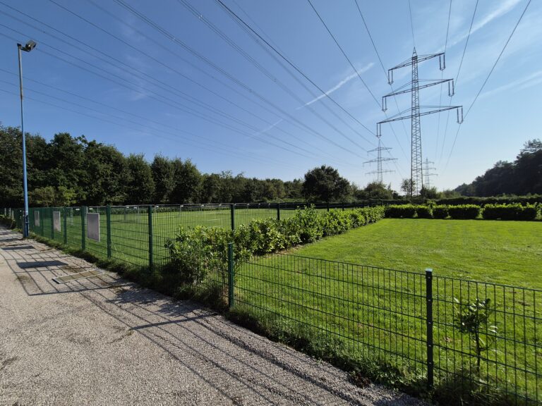 Hundeplatz mieten 18 20240905 153045