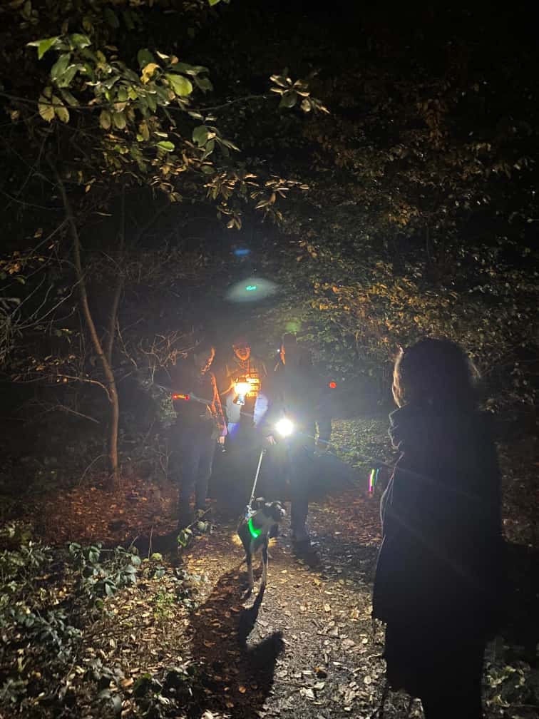 WhatsApp Bild 2025 11 11 um 13.22.08 6432eefc