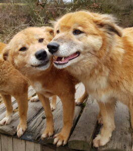 20180323 152425 scaled e1675953795105