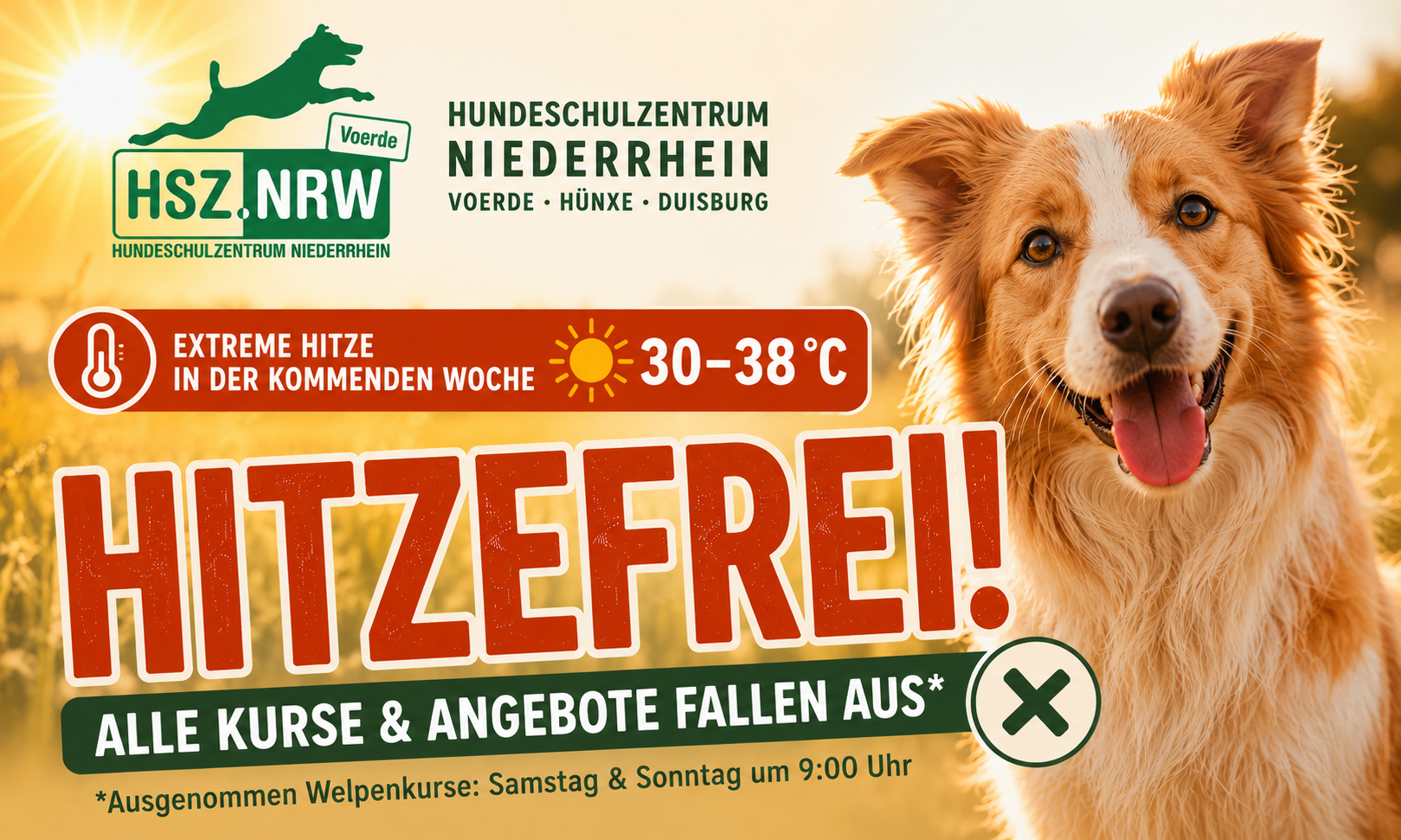 Hitzefrei