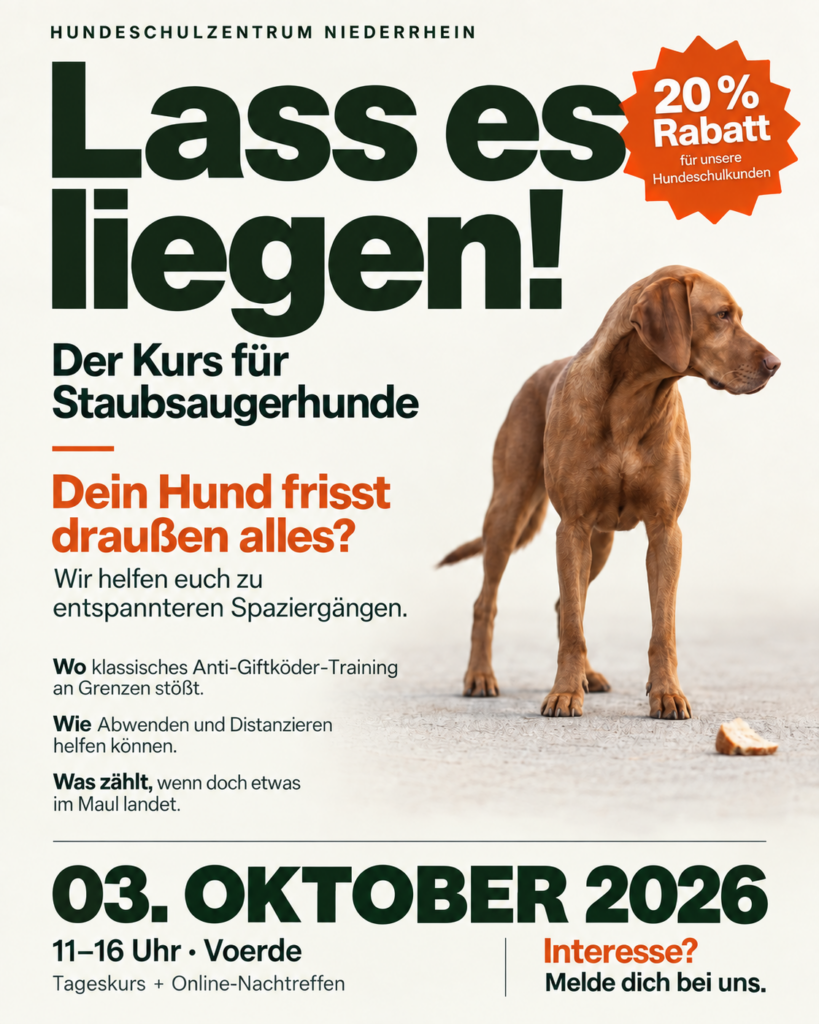 ChatGPT Bild 30. Sept. 2026 11 45 16